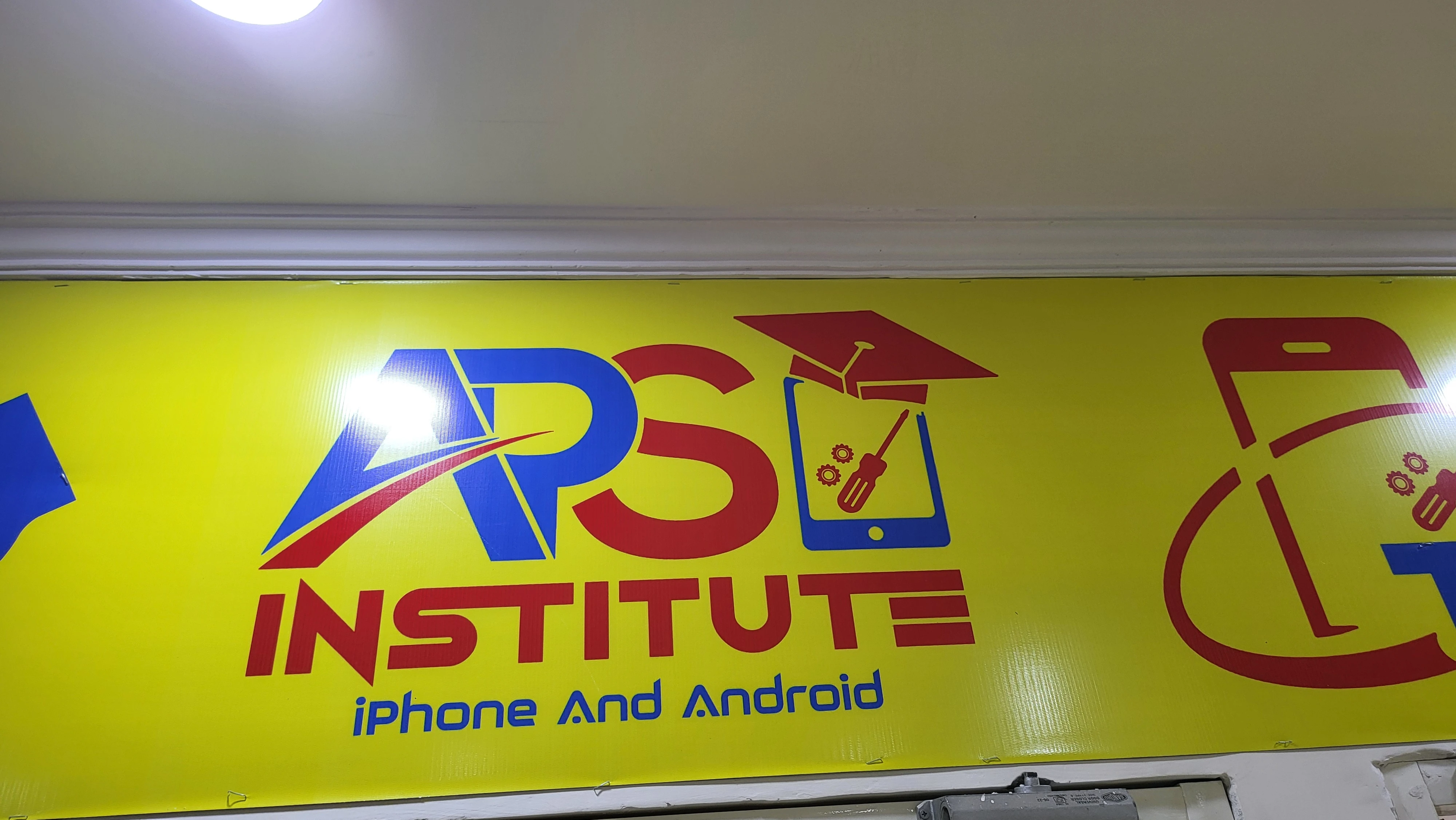 apa institute